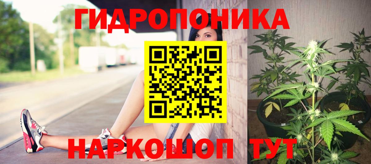 Бошки марихуана Ganja Мыски